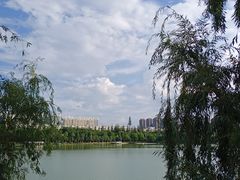 -洛龙公园