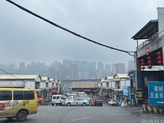-菜园坝水果市场