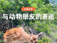 -大连森林动物园