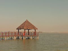 -瑶湖郊野森林公园