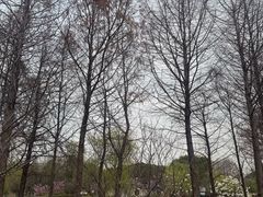 -自然谷恐龙园