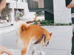 -宁波万豪酒店