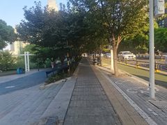 -西北湖绿化广场