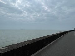 -北海金海湾红树林生态旅游区