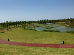 -春花秋色城市公园