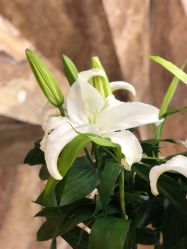 百年好合-永琪美容美发