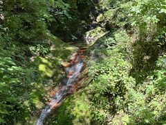 -牛背梁国家森林公园