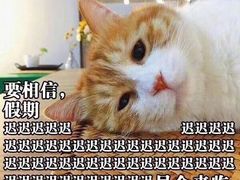 -小龙大肉面馆