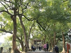 -溪口-滕头旅游景区