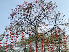 -晓港公园