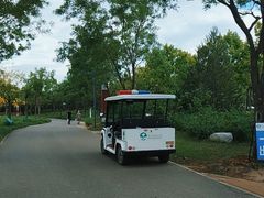 -东郊湿地公园