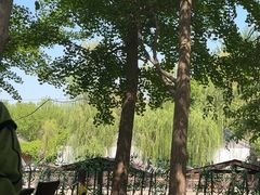 -尚庄度假村·庭台树下·户外烧烤·团建CS·轰趴营地(上庄水库店)