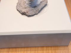 -上海自然博物馆