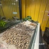 芭提雅这家海鲜自助给我冲！