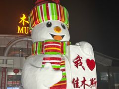 -佳木斯东郊机场
