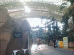 -杭州开元森泊度假乐园