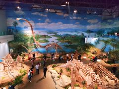 -自贡恐龙博物馆