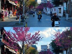 -大理.老字号渝记酸萝卜乌鱼(古城总店)