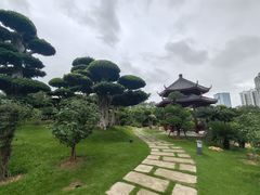 -南宁南湖公园