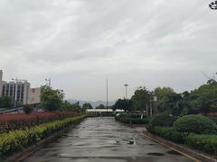 -青芒学车·丰远驾校(印象城校区)