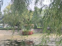 -平房公园
