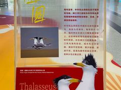 -福州长乐国际机场