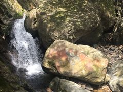 -东天目山风景区