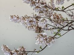 -红星桥(地铁站)