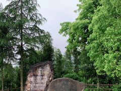 -龙水峡地缝景区