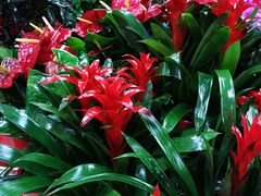 -三旗百汇商品城