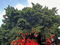 -佛山市祖庙博物馆