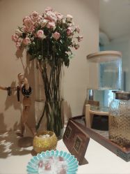 -阿南达·瑜伽普拉提·阿育吠陀疗愈中心