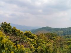 -天鹿湖森林公园