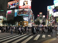 -涩谷全向十字路口