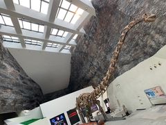 -中华赏石园