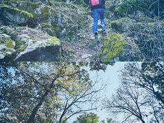 -秦岭风景区