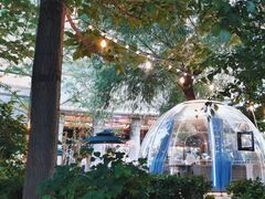 -中环禧悦酒店·禧临阁餐厅
