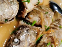 白烧黄姑鱼-开海·红岛海鲜虾水饺(石老人店)