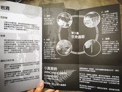 -怀托摩萤火虫洞