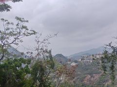 -太平山顶