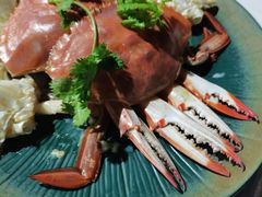 -阿尔法海鲜排档(爱琴海店)