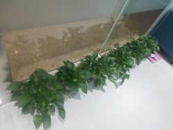 -馨美女性健康管理中心