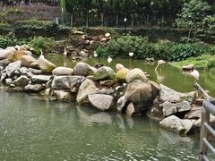 -石排湾郊野公园