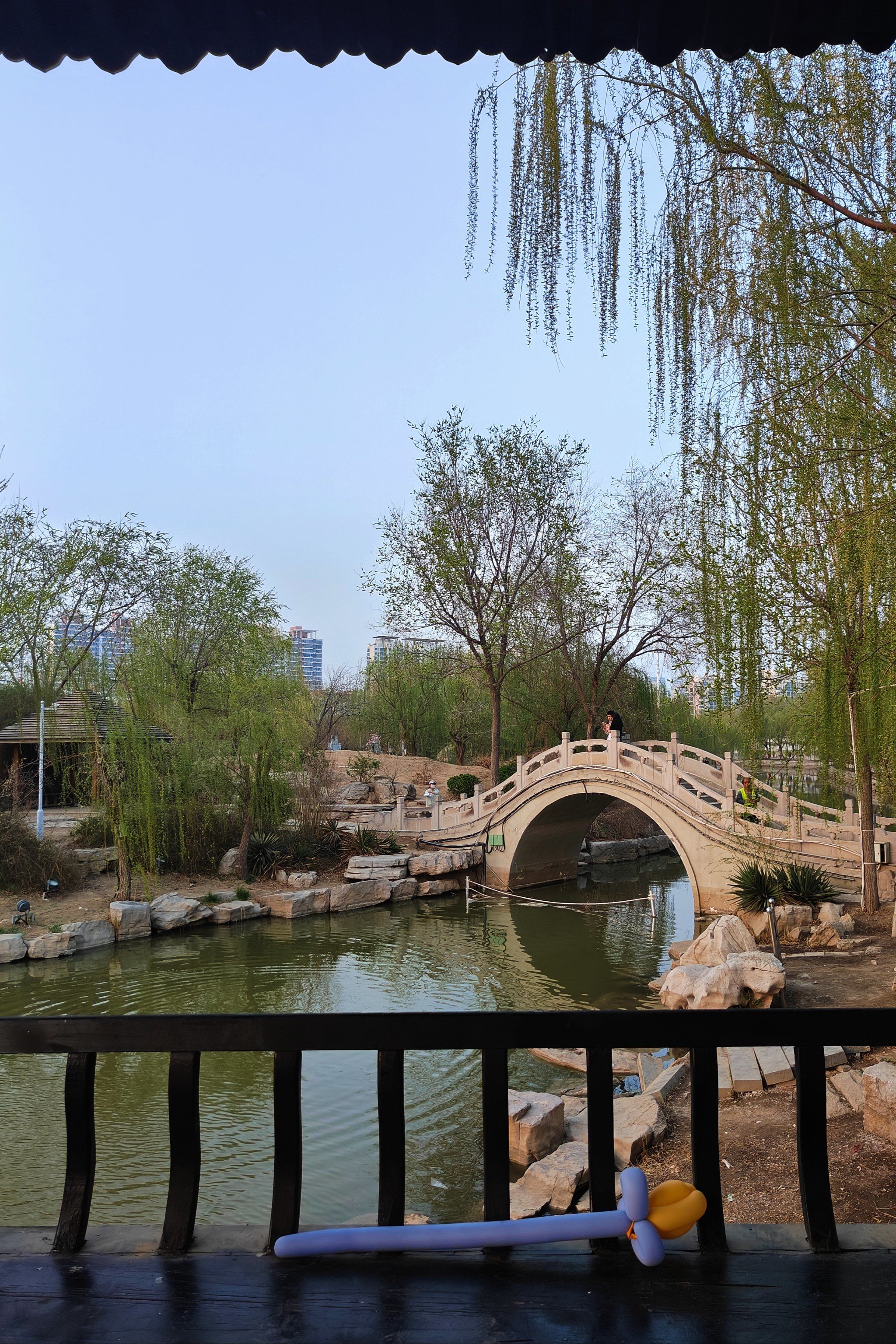 n
走进公园,你会被那葱郁的树木,盛开