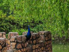 -J Create城市露营咖啡·简餐·宠物(上海动物园店)