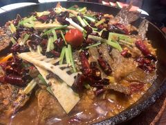 -老板恋上鱼(高新万达店)