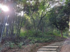 -黄埔油麻山森林公园