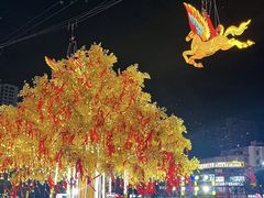 -友谊阳光城