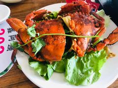 -鑫阿强海鲜大排档·老厦门特色菜(中山路店)