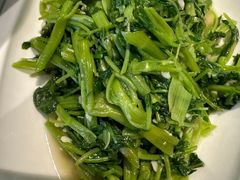 -丁老爷子苏香圆